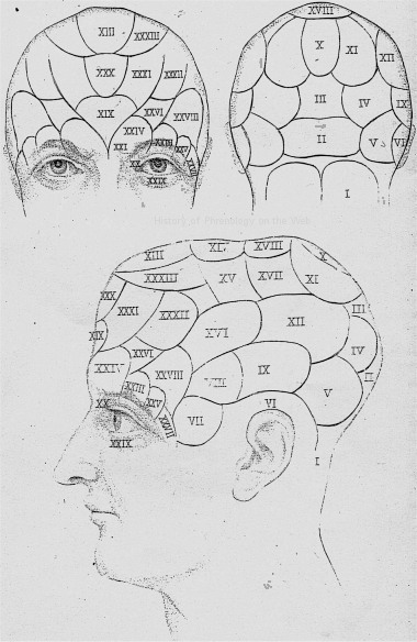 head and face reading