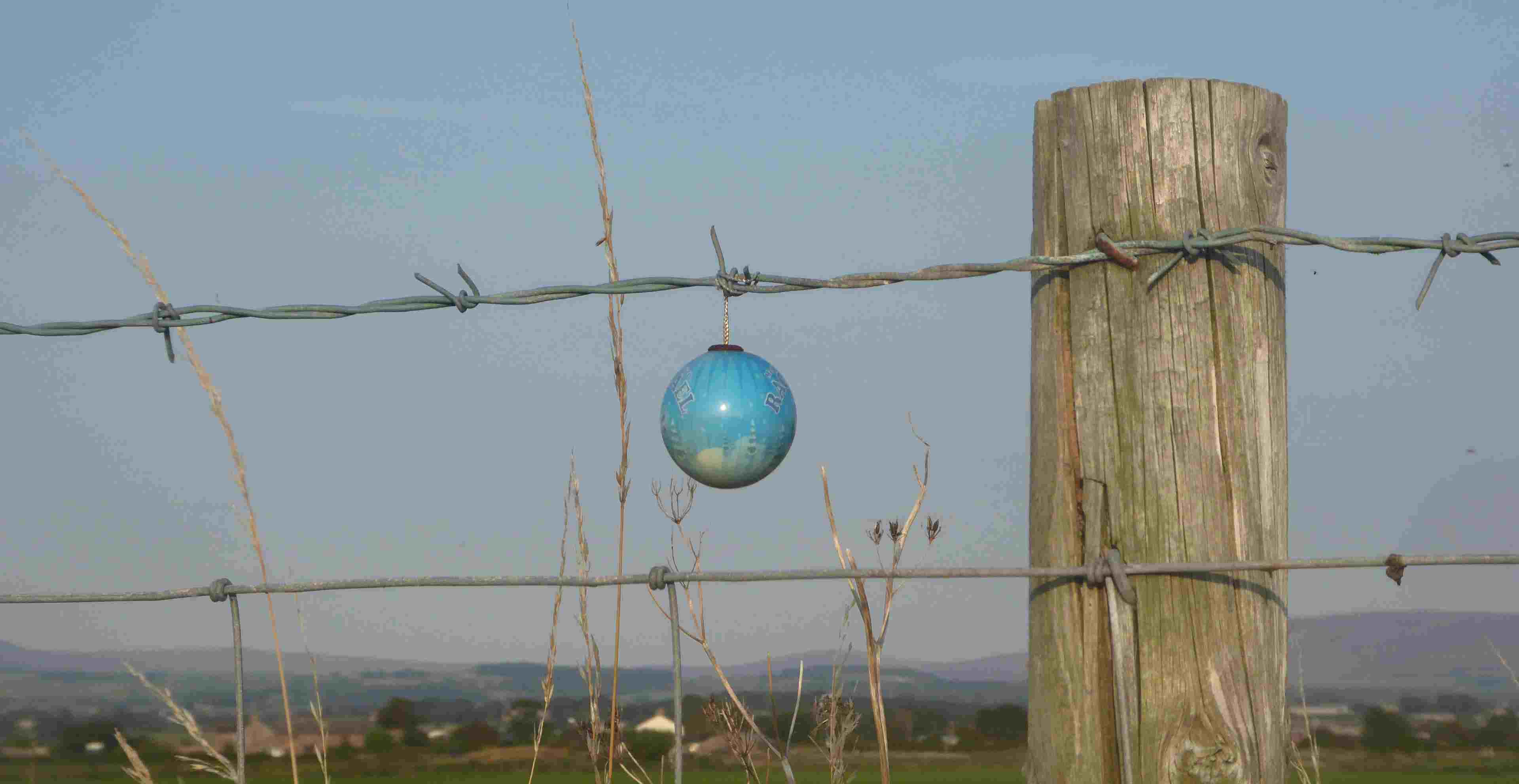 small globe hanging from barbed wire